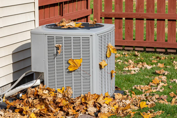 Best HVAC Air Duct Cleaning  in Fort Pierce North, FL